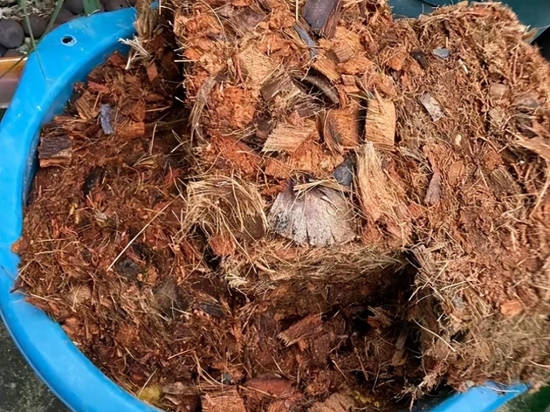 椰糠泥炭土大量有货欢迎来采购