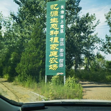 玉露香梨