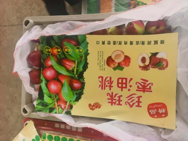 珍珠枣油桃3号，大量上市，对接档口，商超，社区团购