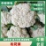 西兰花