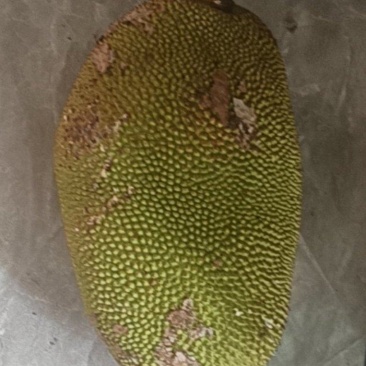 菠萝蜜