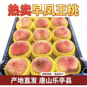 早凤王桃乐亭县产地一手货源精品货可代发全国