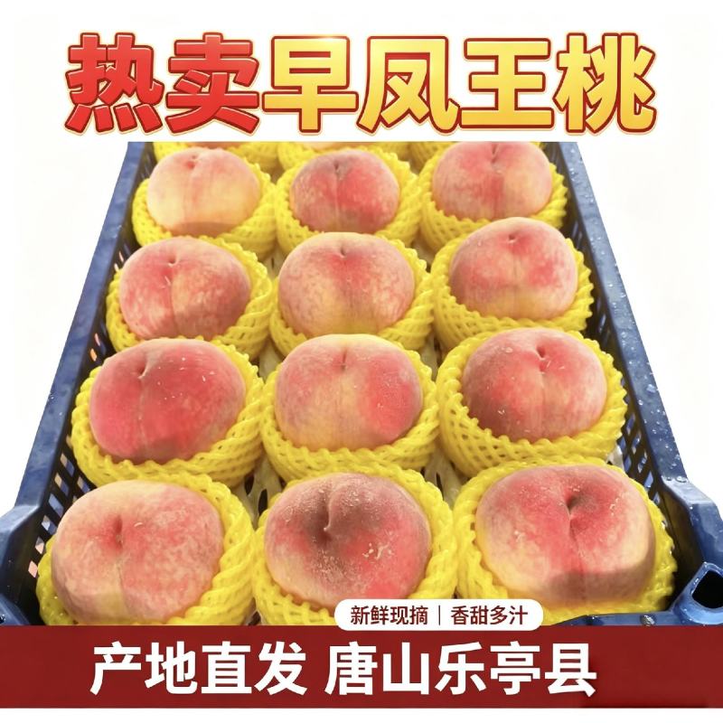 早凤王桃乐亭县产地一手货源精品货可代发全国