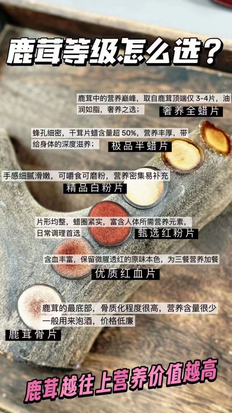 干鹿茸片