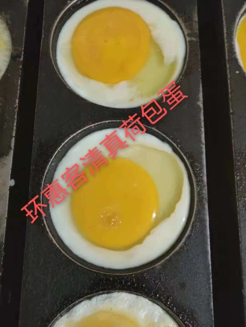 环惠客荷包蛋清真
