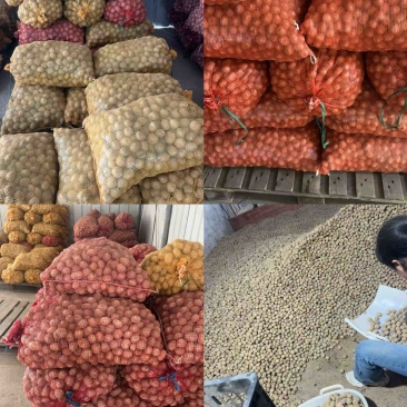 恩施马尔科土豆