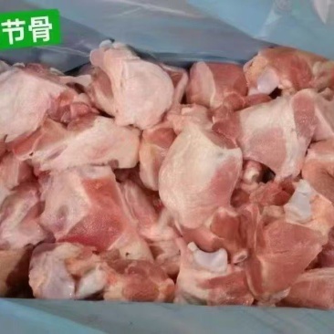 关节骨