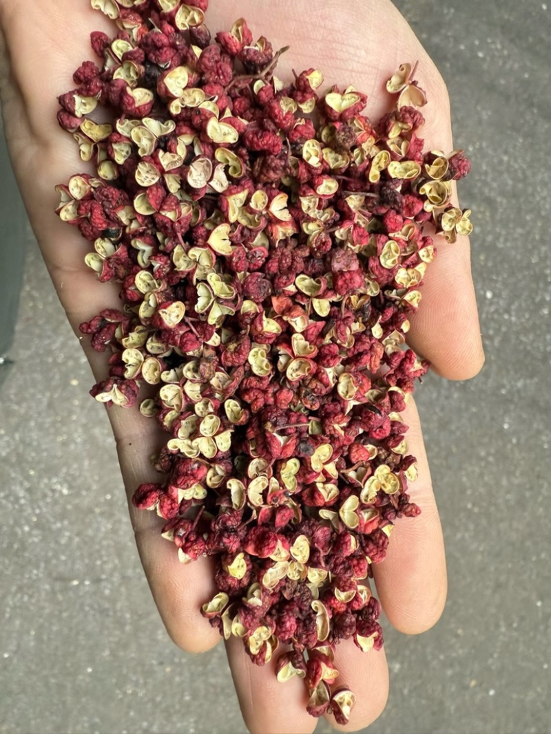 四川茂汶新货红麻椒醇麻可口独特风味