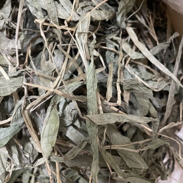 淡竹叶销售，诚信经营，保质保量