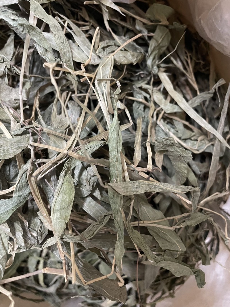 淡竹叶销售，诚信经营，保质保量