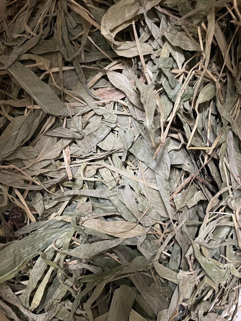 淡竹叶销售，诚信经营，保质保量