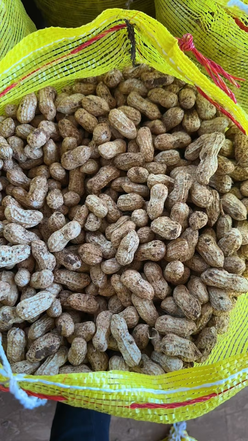 《白沙花生》源头甄选，老板们如有需要可以按你们的要求代收