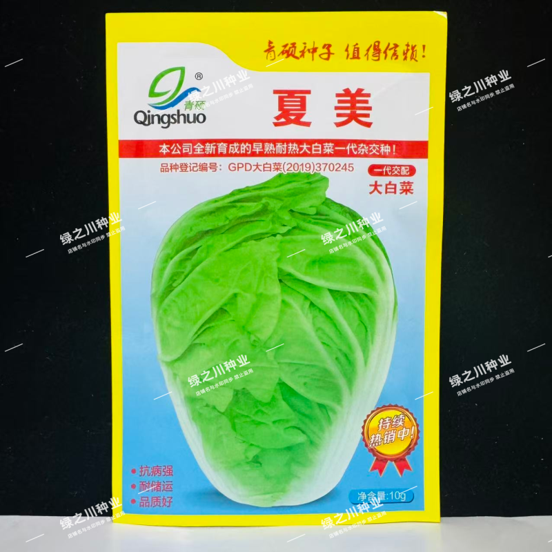 夏美抗热白菜种籽早熟耐热结球大白菜种子夏秋季杂交大白菜种