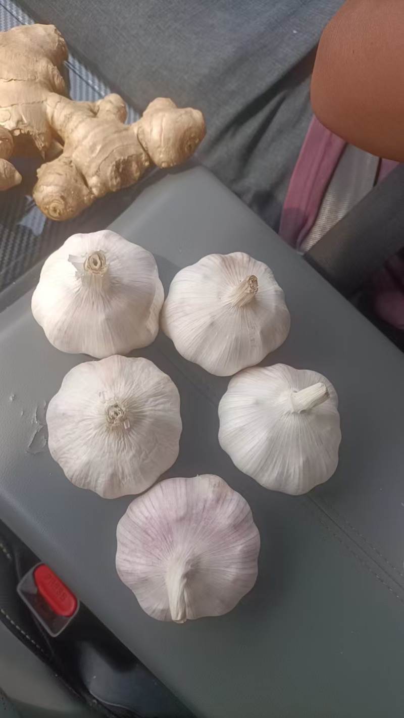 山东优质大蒜，供市场，超市各大平台，电商一件代发