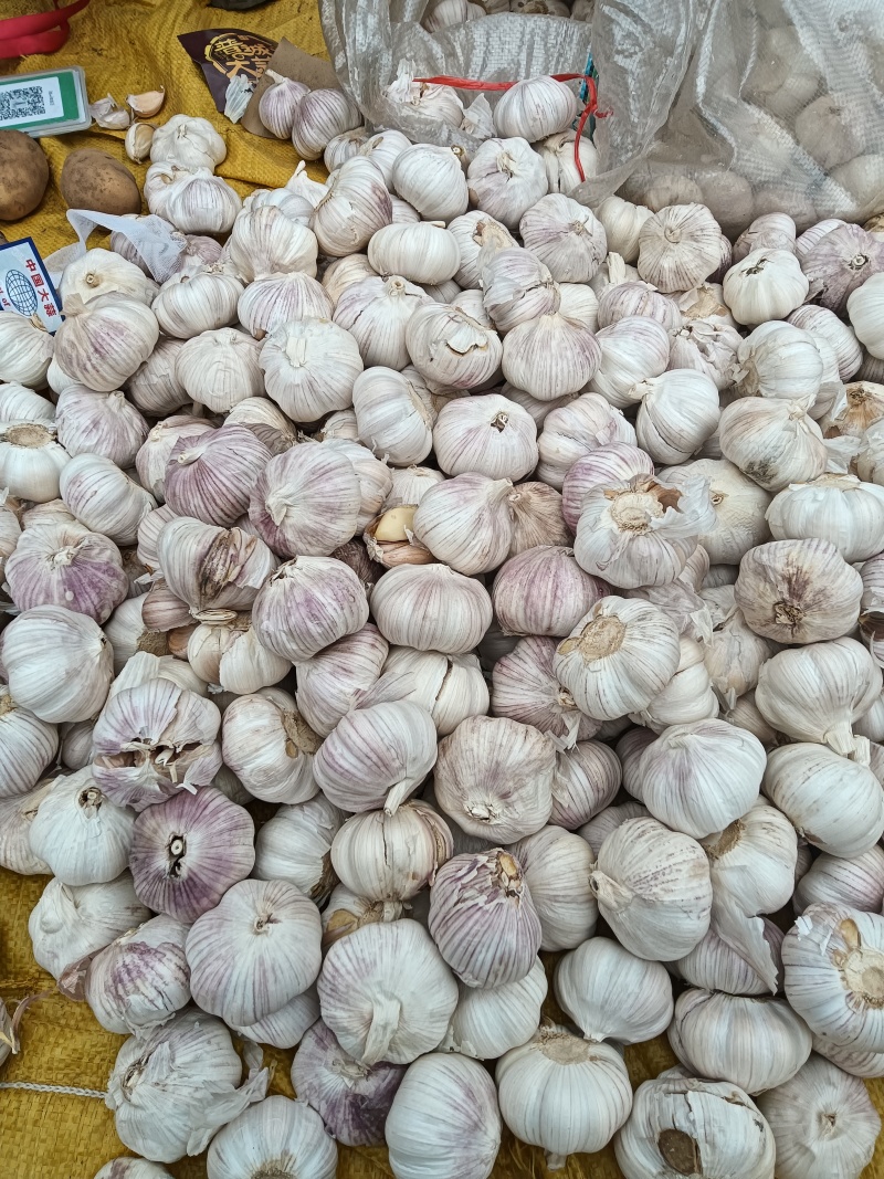 山东优质大蒜，供市场，超市各大平台，电商一件代发