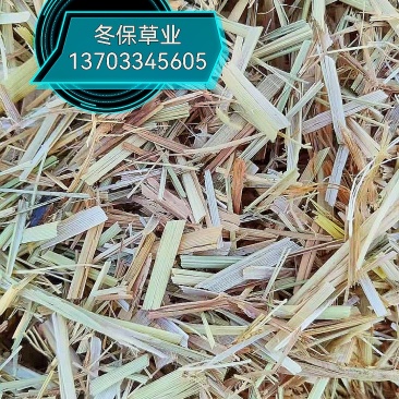 冬保饲草牛羊草料