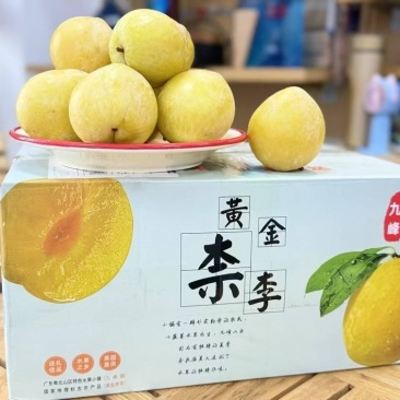 九峰山黄金奈李中国黄金奈李原产地、黄金奈李之乡