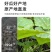 正宗河南小金香奶油南瓜软糯香甜[电商一件代发]