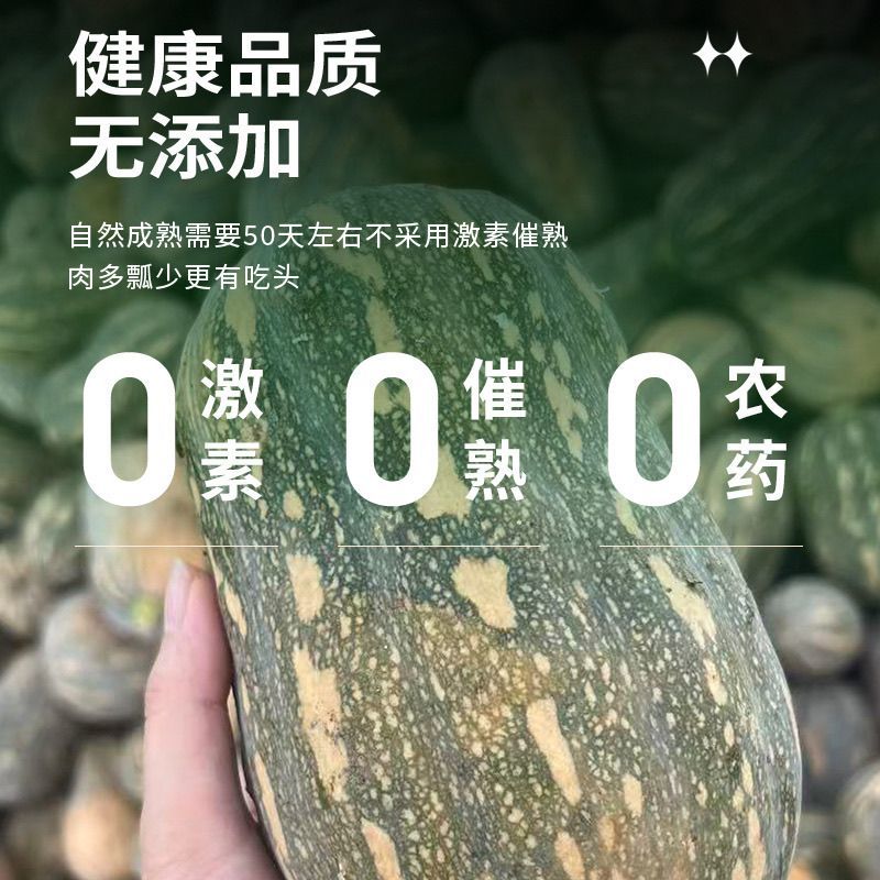 正宗河南小金香奶油南瓜软糯香甜[电商一件代发]
