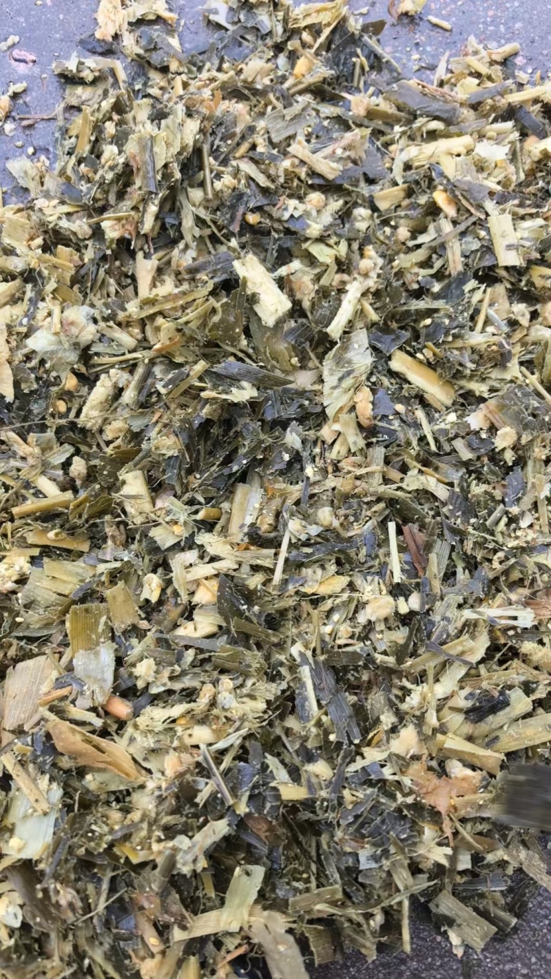 玉米青贮