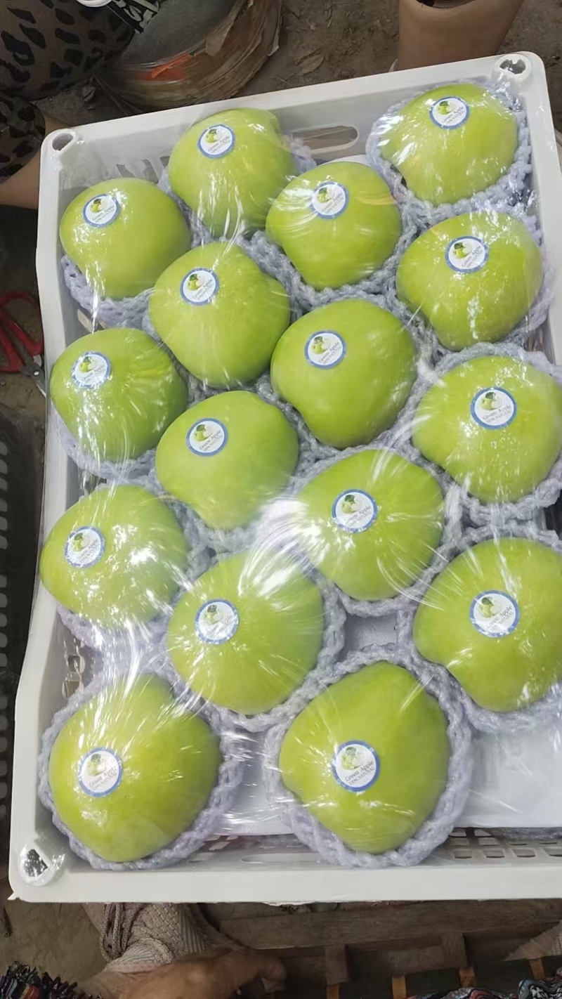 万亩果园青红华硕，鲁丽，美八有需求的老板可以联系
