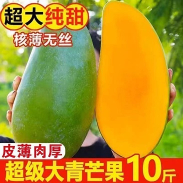 【凯特芒果】正宗云南凯特芒果/云南芒果/精选大果坏了包赔