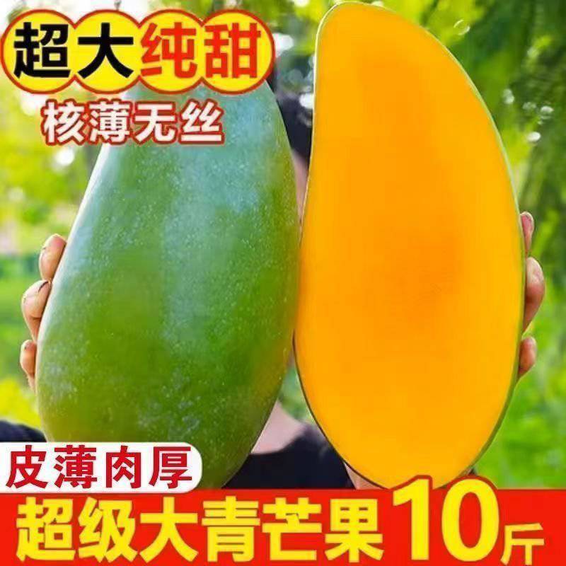 【凯特芒果】正宗云南凯特芒果/云南芒果/精选大果坏了包赔