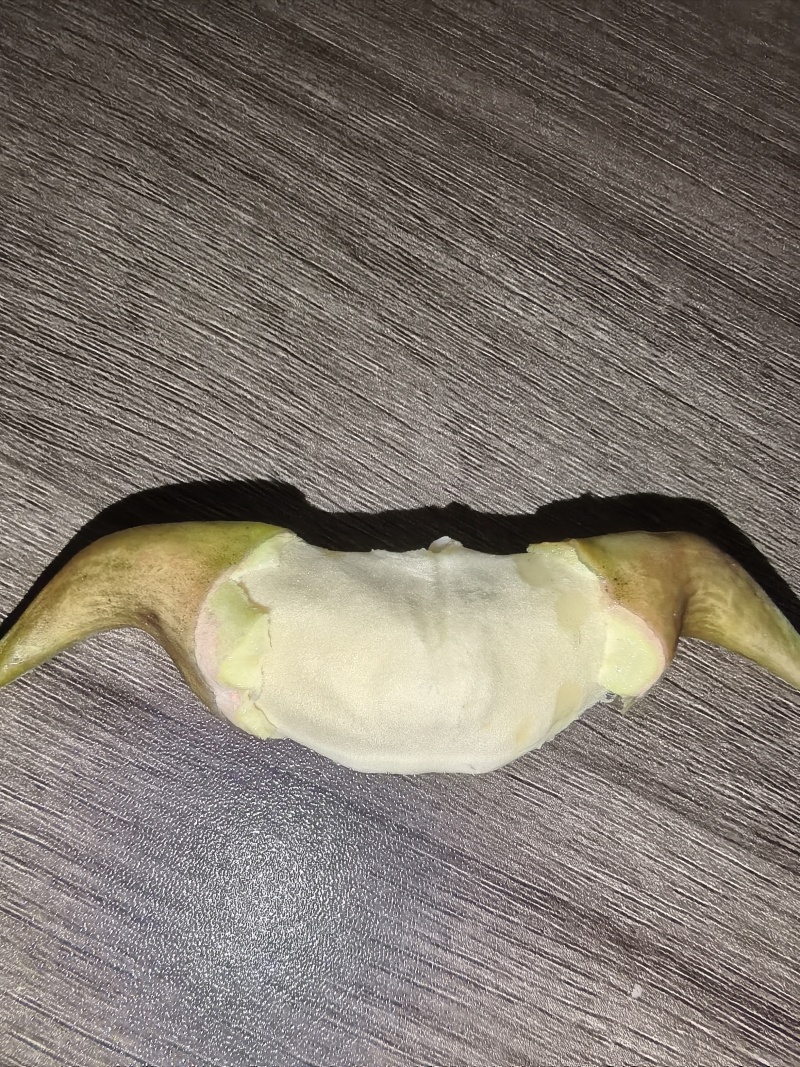 菱角嫩菱角老菱角