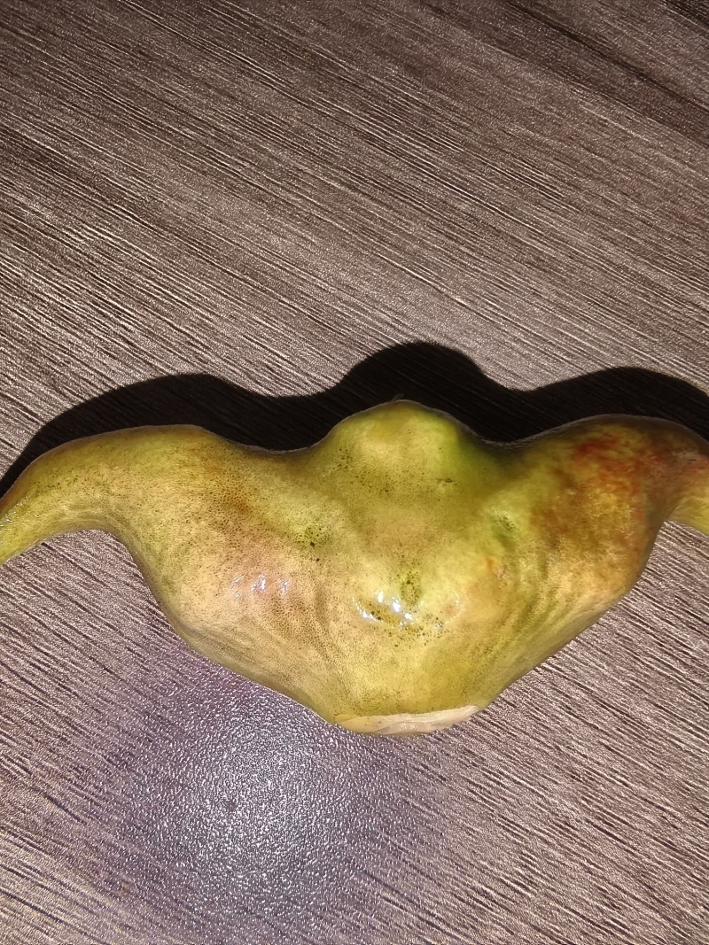 菱角嫩菱角老菱角