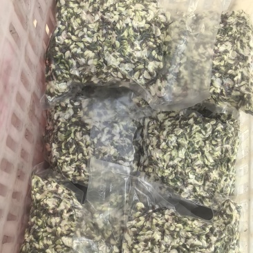 槐花
