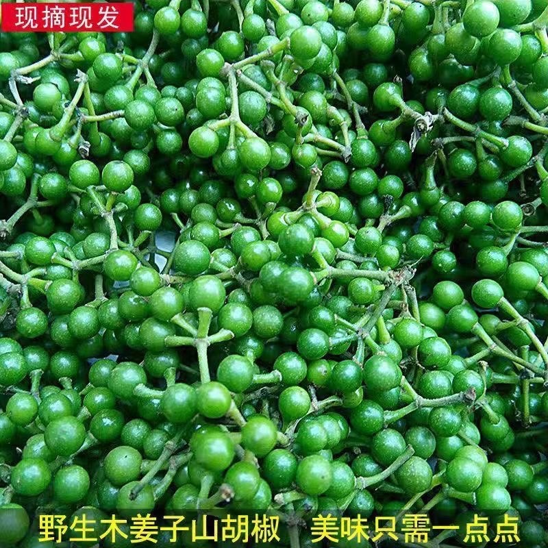 新鲜山胡椒木姜子野生山苍子