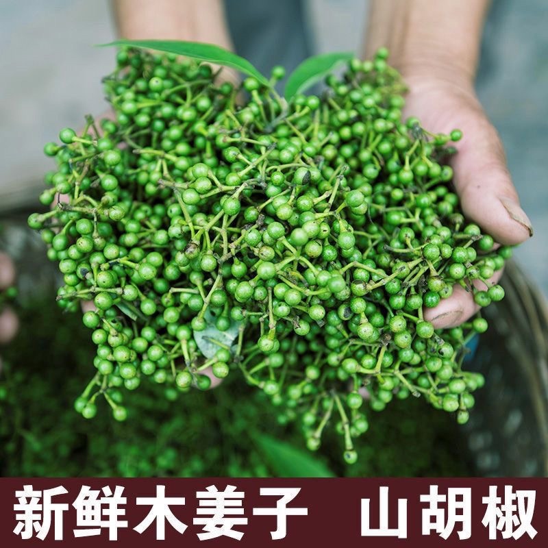 新鲜山胡椒木姜子野生山苍子