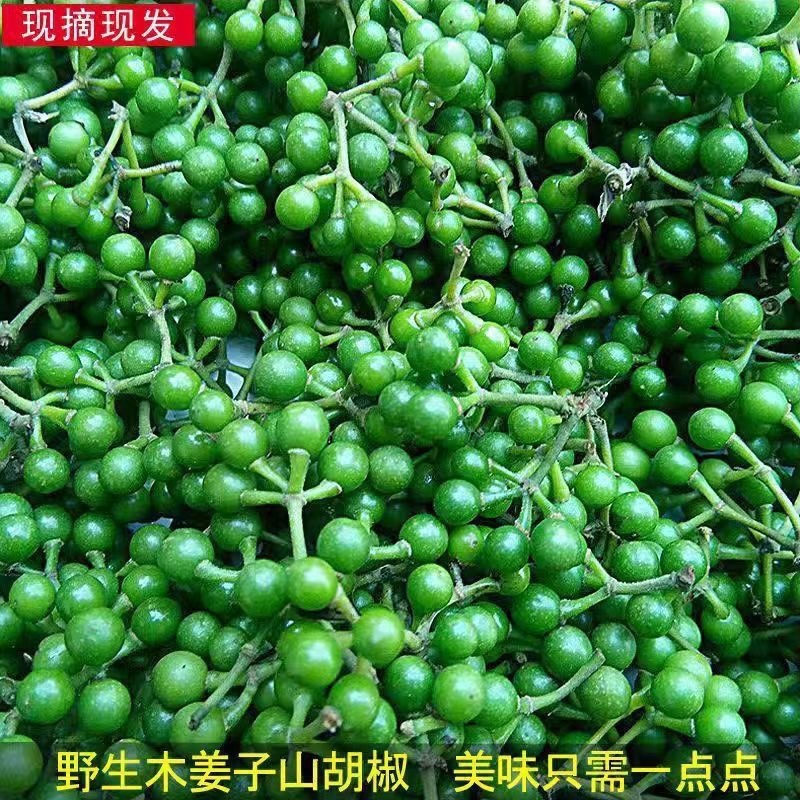 新鲜山胡椒木姜子野生山苍子