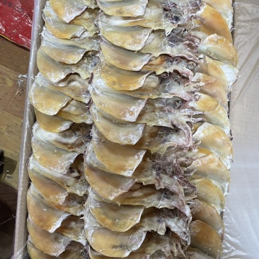 北海墨鱼干源头工厂