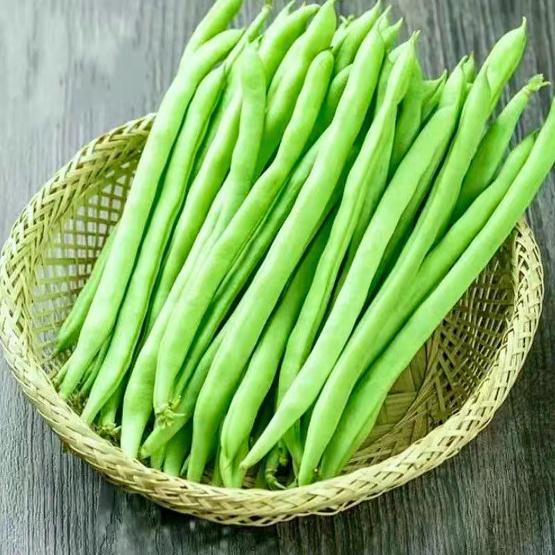 无筋豆白花四季豆产地一手货源，保质保量欢迎订购