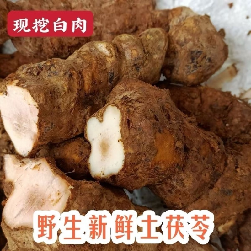 江西新鲜土茯苓野生白肉