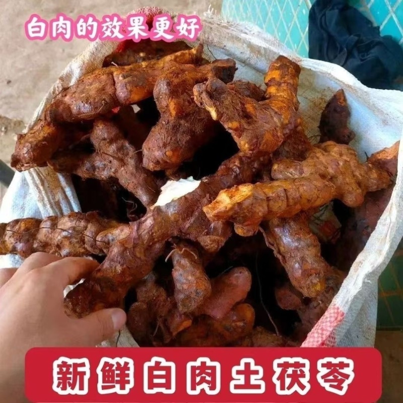 江西新鲜土茯苓野生白肉