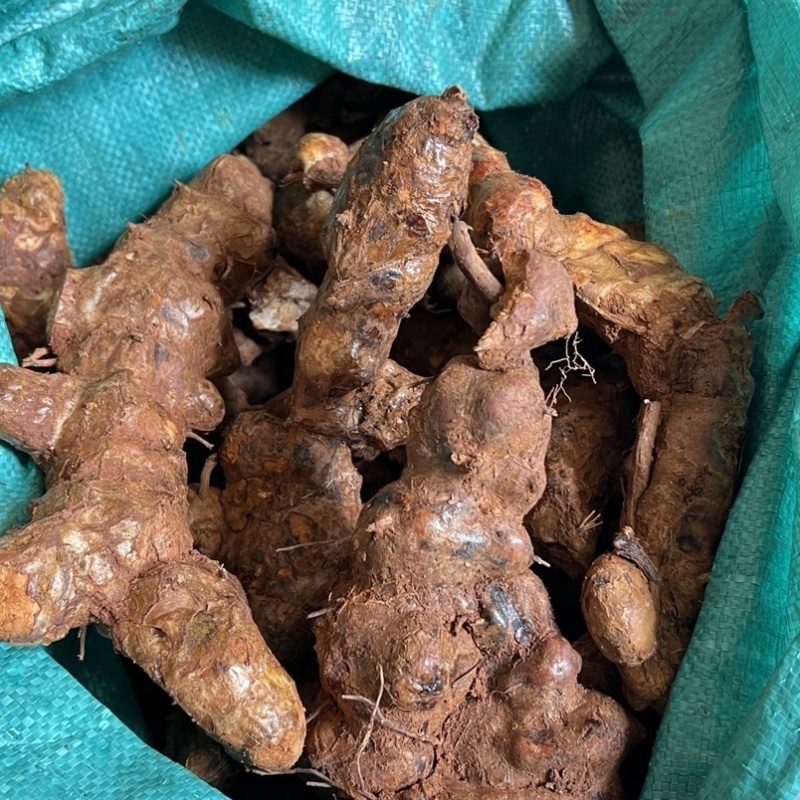 江西新鲜土茯苓野生白肉