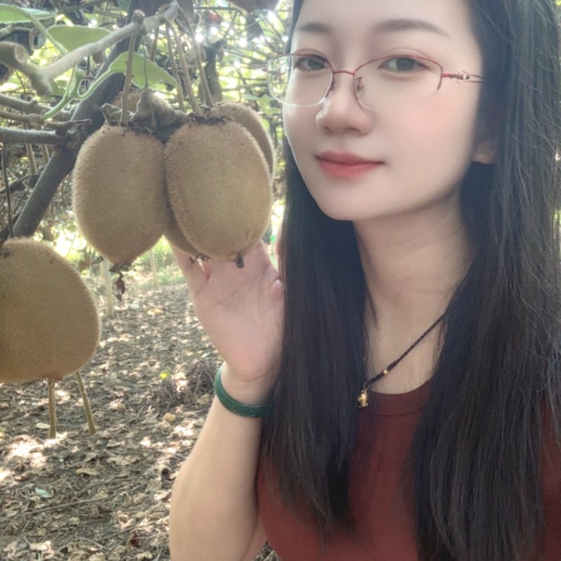 湘西绿心猕猴桃奇异果米良一号产地直供电商平台整车批发团购