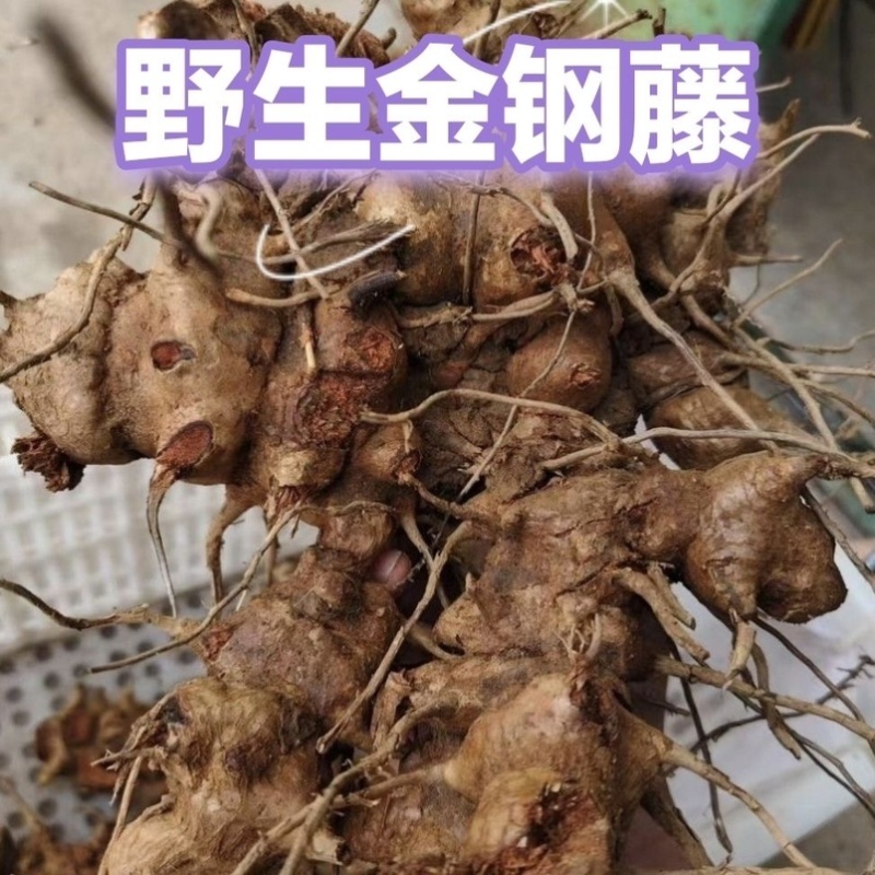 野生金刚藤拔葜菱角老很泡酒