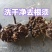 野生金刚藤拔葜菱角老很泡酒
