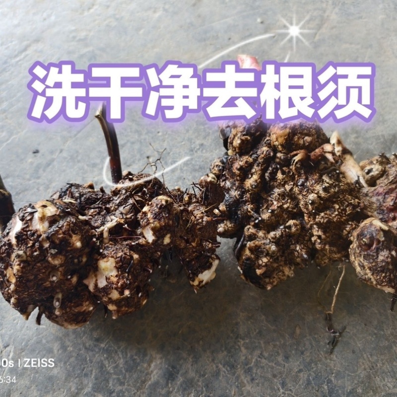 野生金刚藤拔葜菱角老很泡酒