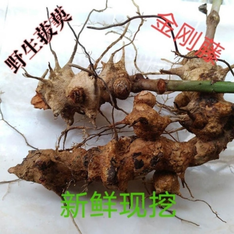 野生金刚藤拔葜菱角老很泡酒