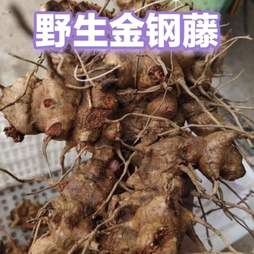 野生金刚藤拔葜菱角老很泡酒