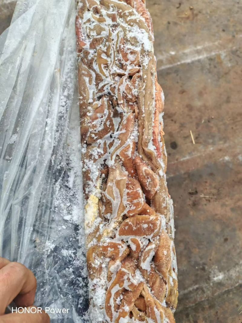 纯干去油牛小肠工厂直发全国冷链发货品质好价格低