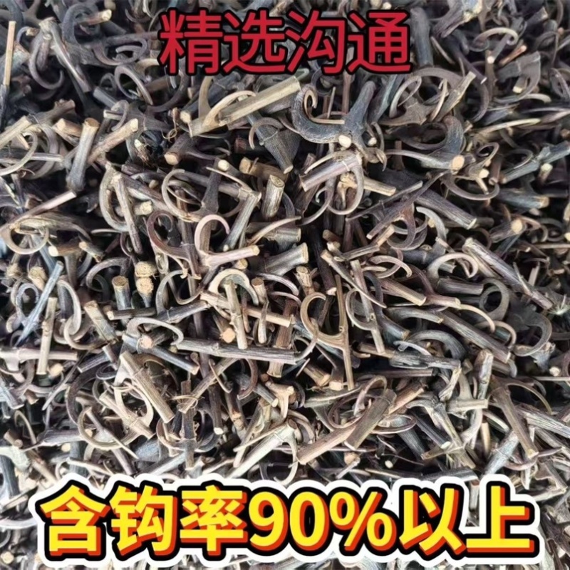 倒挂金钩子钩藤鹰爪莹爪凤钩草