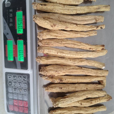 喜欢的看过来有货