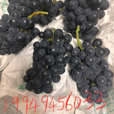 巨峰伏葡萄🍇