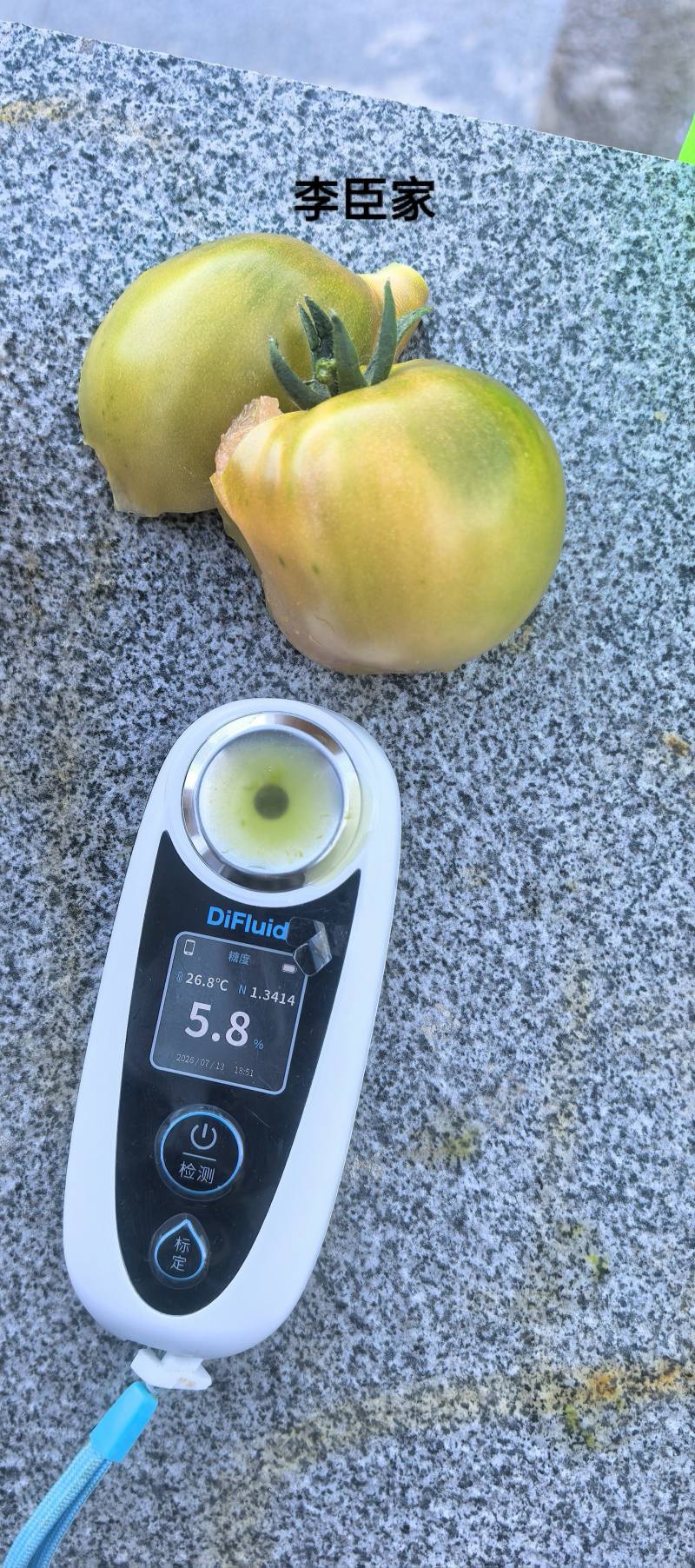 青肩型大口感番茄3-5两大草莓冷棚大量下货