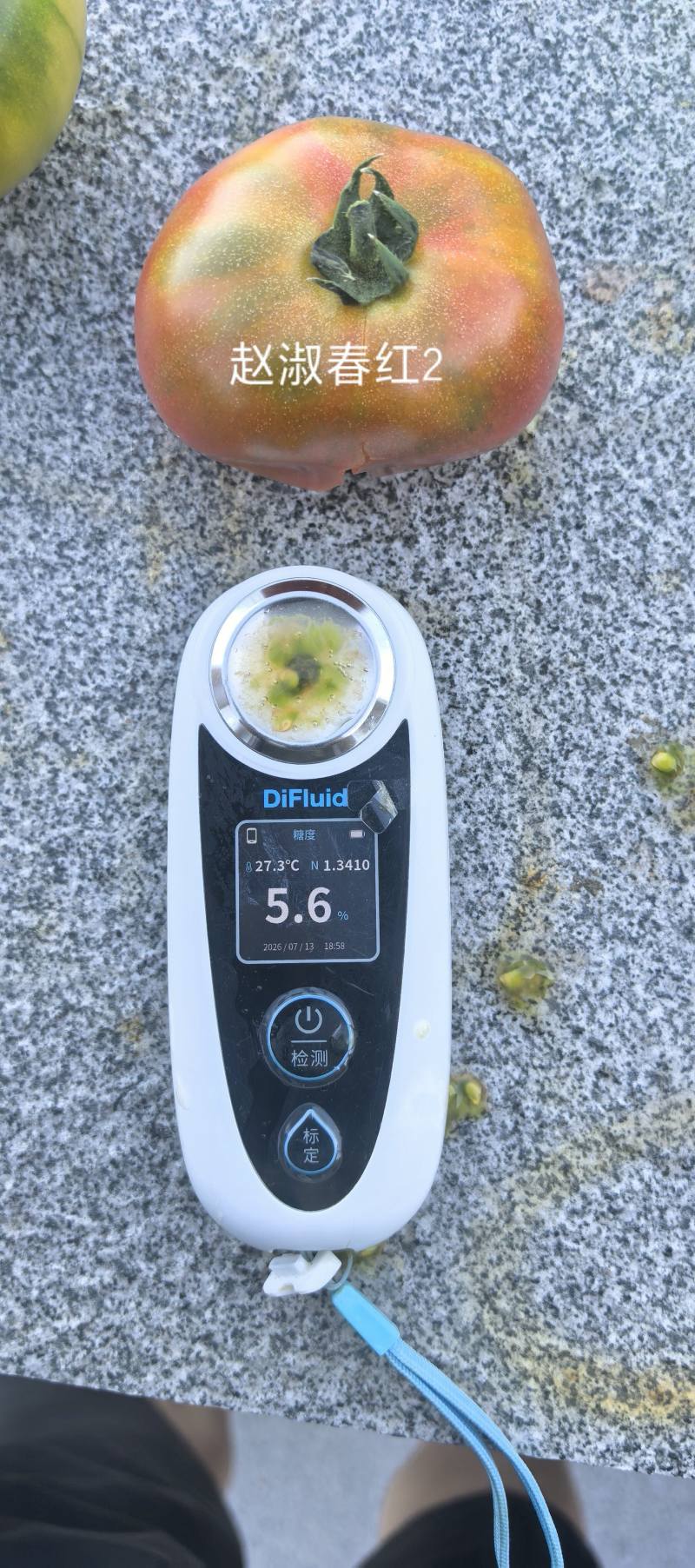 青肩型大口感番茄3-5两大草莓冷棚大量下货